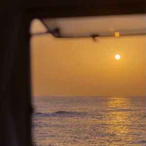 非洲女人ZOZ0性伦交
